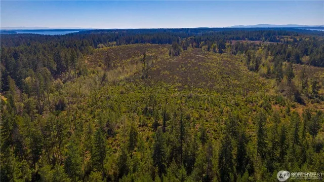 a backyard of a house with a trees