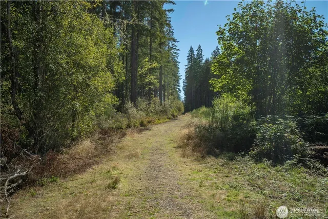 a view of outdoor space and yard