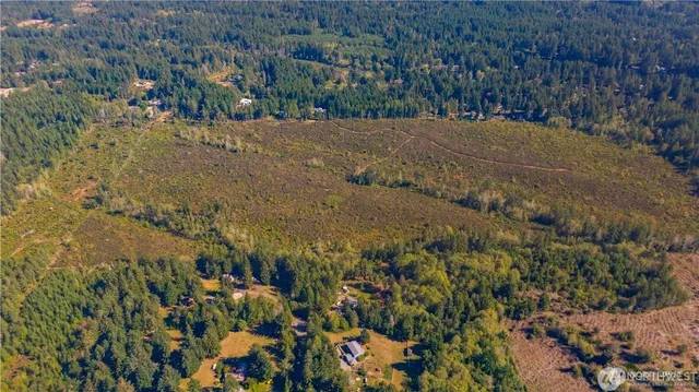 a view of a big yard