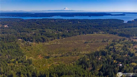 a view of a yard and mountain view
