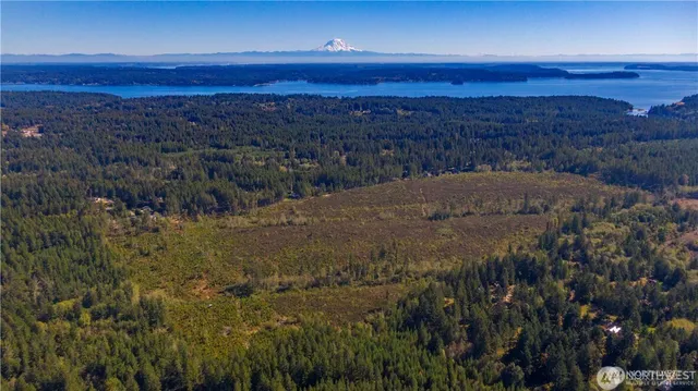 a view of a yard and mountain view