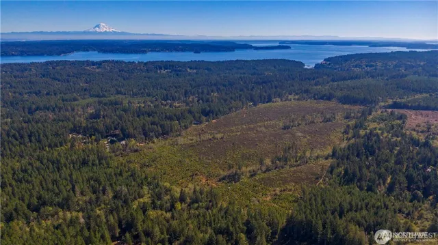 a view of a yard with green space