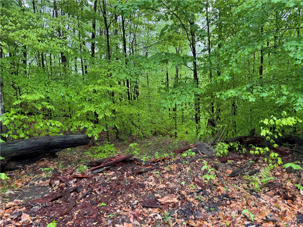 0 Hawkinsville Road Woodgate, NY 13494 - Photo 10 of 27