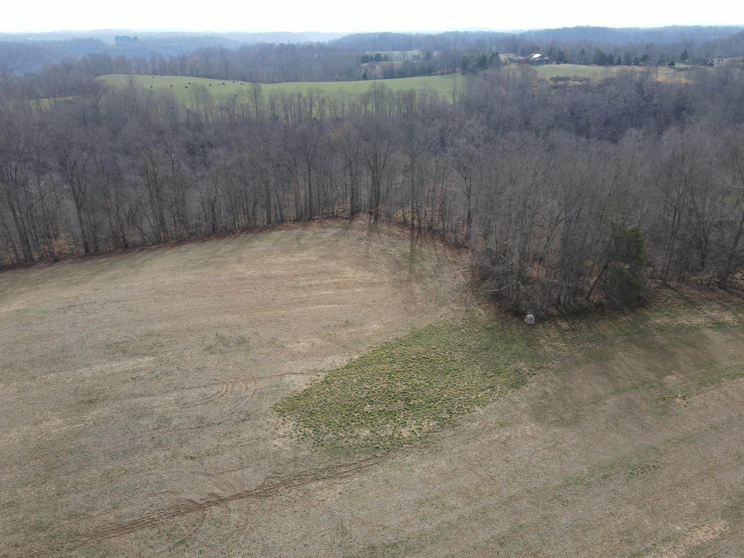 551 Porter Creek Road Nancy, KY 42544 - Photo 7 of 45 DJI_0934