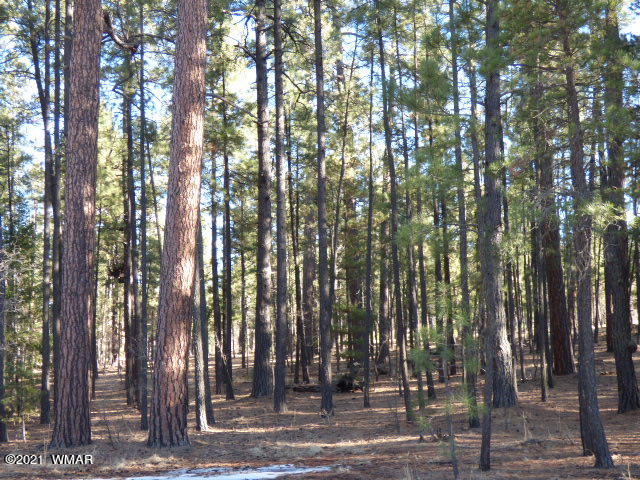 2266 Alpine Az 85920 Alpine, AZ 85920 - Photo 5 of 10