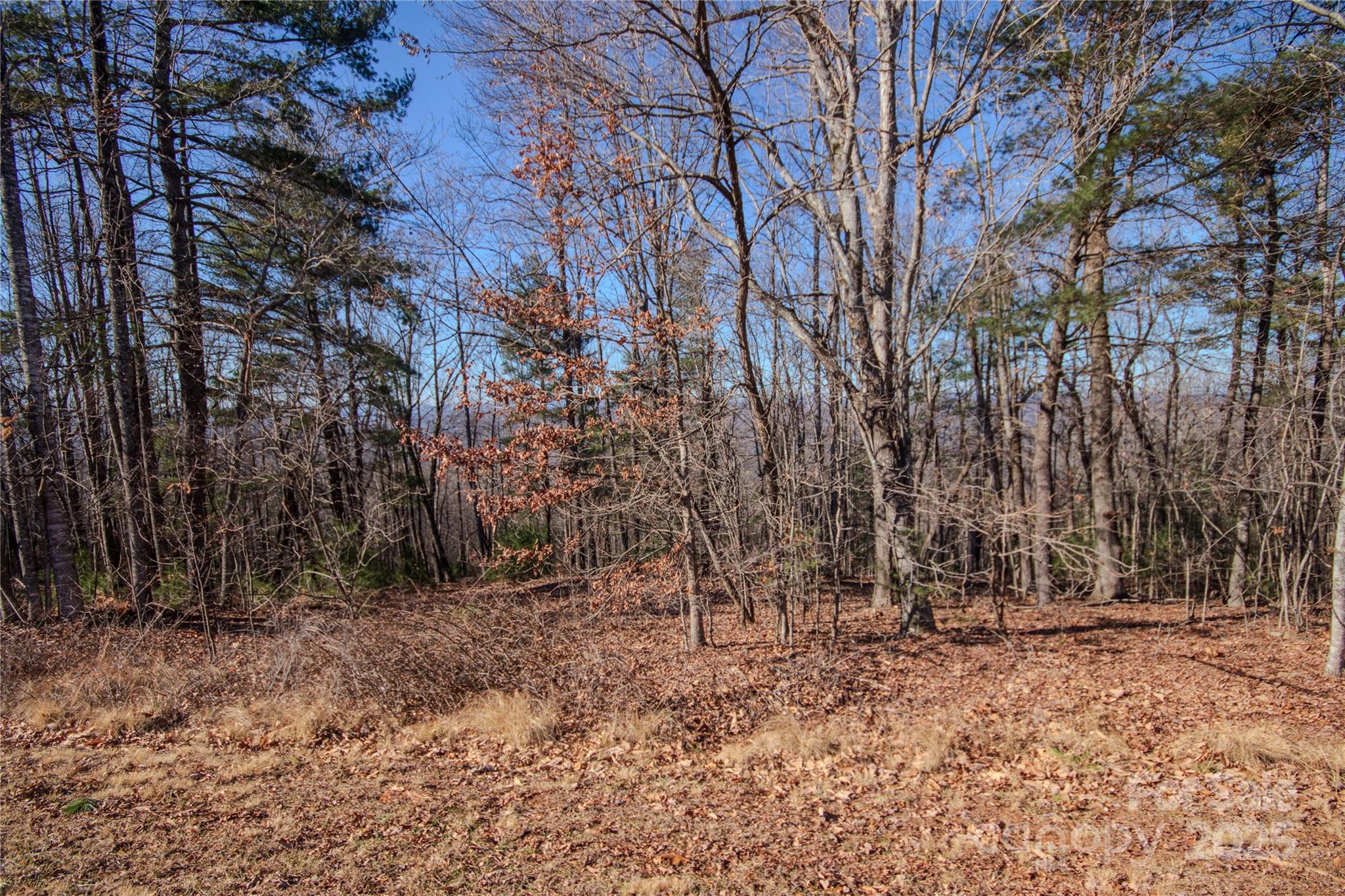 2210 Nighthawk Ridge Court, Unit 28 Lenoir, NC 28645 - Photo 4 of 10 a view of house with trees in the background