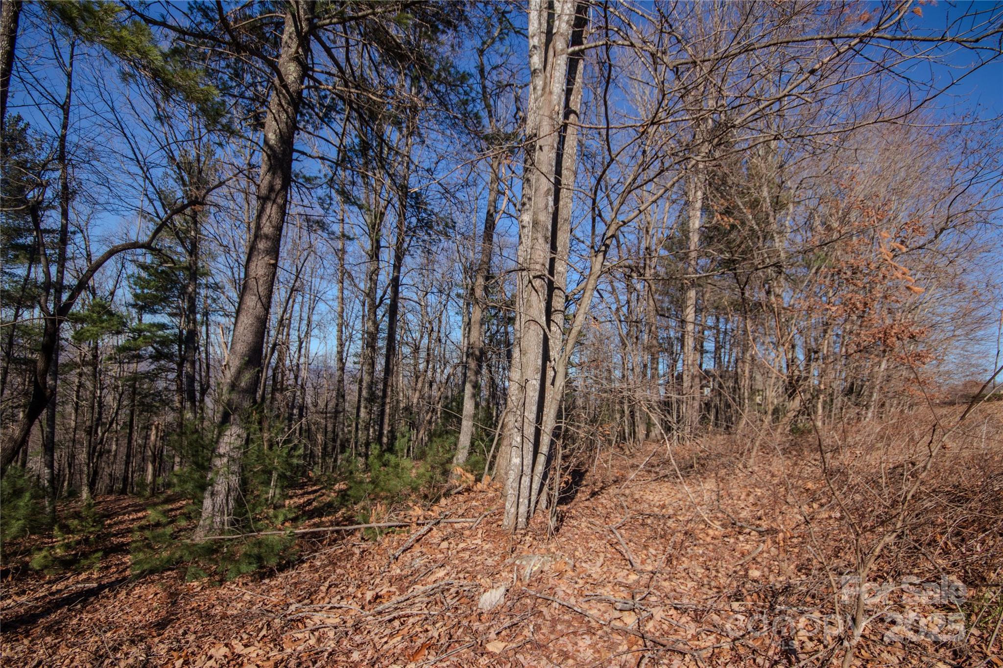 2210 Nighthawk Ridge Court, Unit 28 Lenoir, NC 28645 - Photo 6 of 10 a backyard of a house with lots of green space