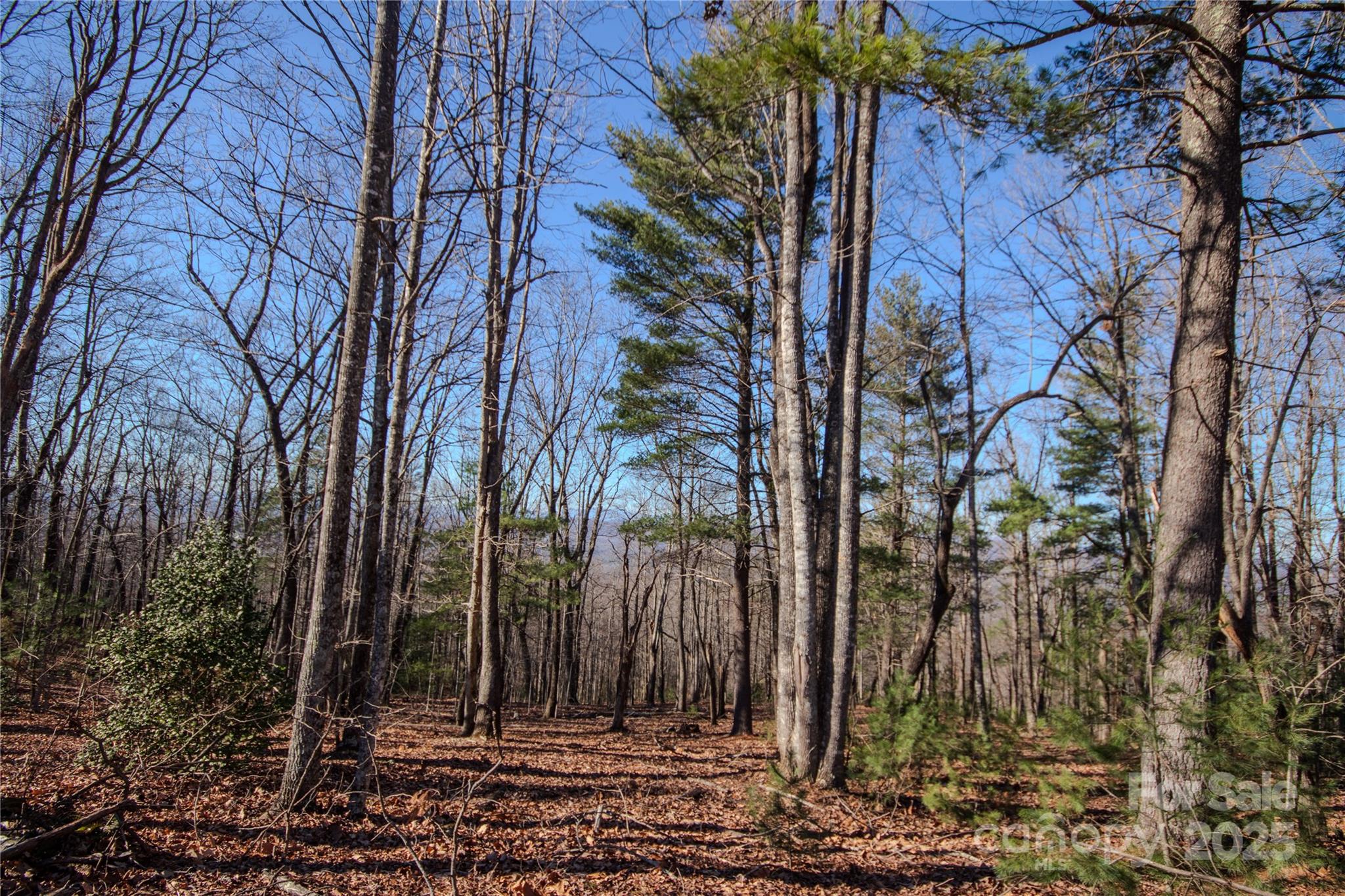 2210 Nighthawk Ridge Court, Unit 28 Lenoir, NC 28645 - Photo 7 of 10 a view of outdoor space