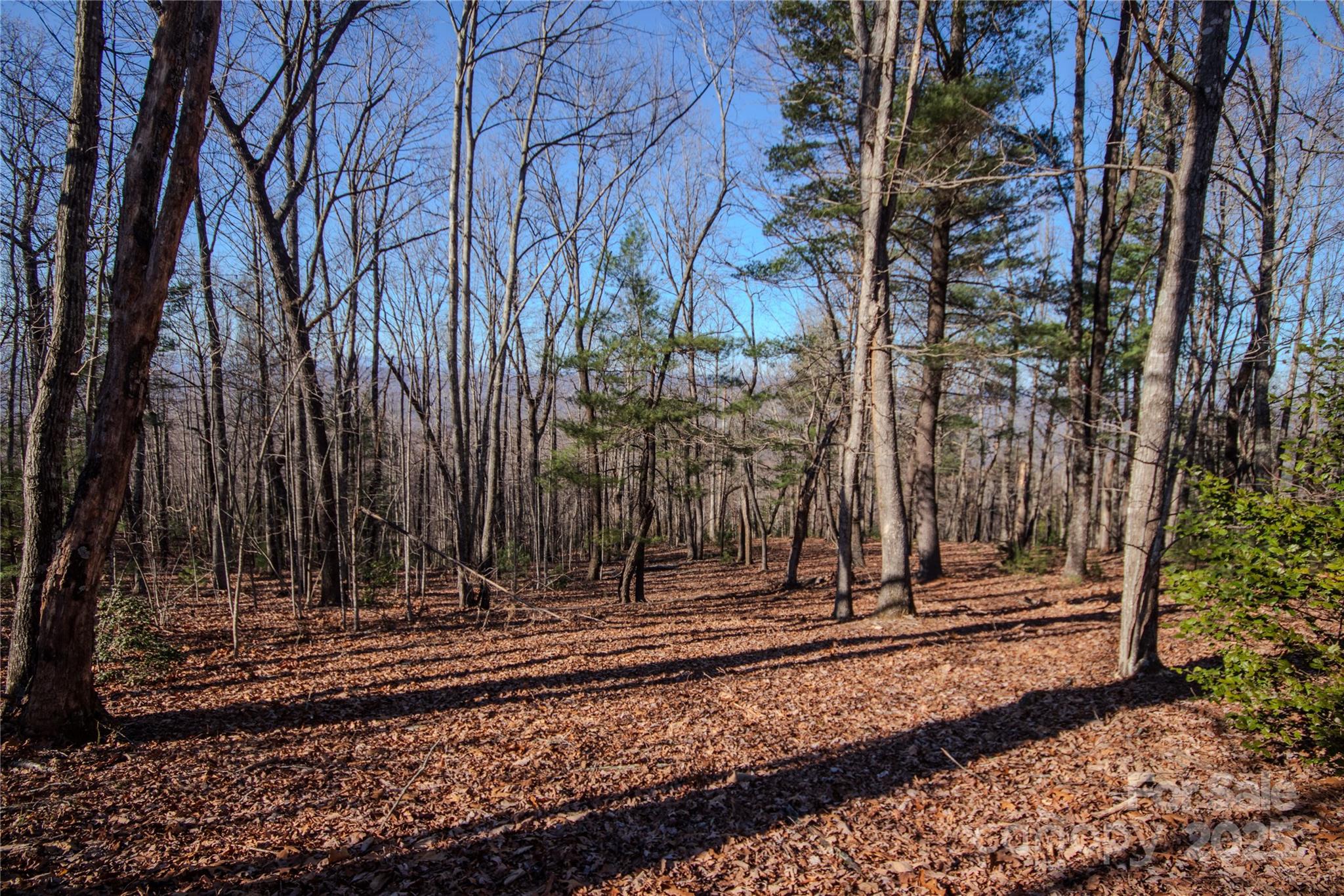 2210 Nighthawk Ridge Court, Unit 28 Lenoir, NC 28645 - Photo 8 of 10 a view of a backyard of a house