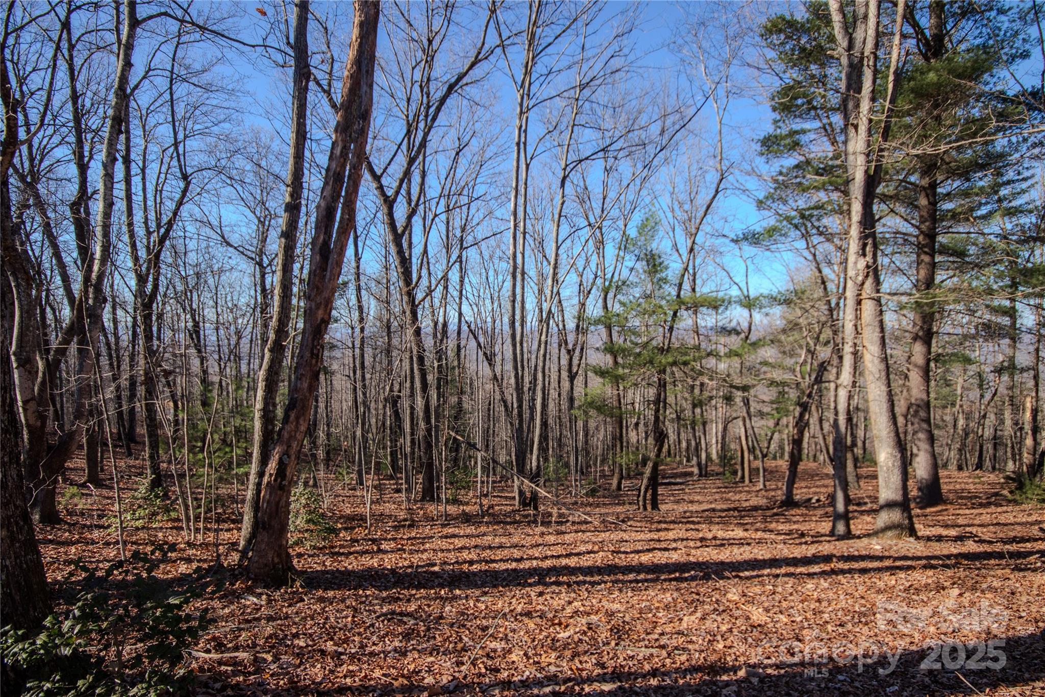 2210 Nighthawk Ridge Court, Unit 28 Lenoir, NC 28645 - Photo 9 of 10 a view of a park with large trees