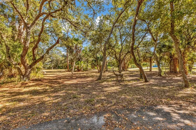 a view of living room filled with furniture and flowers