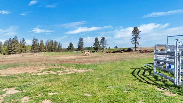 $1,599,900 | 14414 South Stangland Road, Edwall, WA 99008