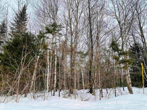 $64,500 | Lot 15 Holbrook Hill Road, Stratford, NH 03590