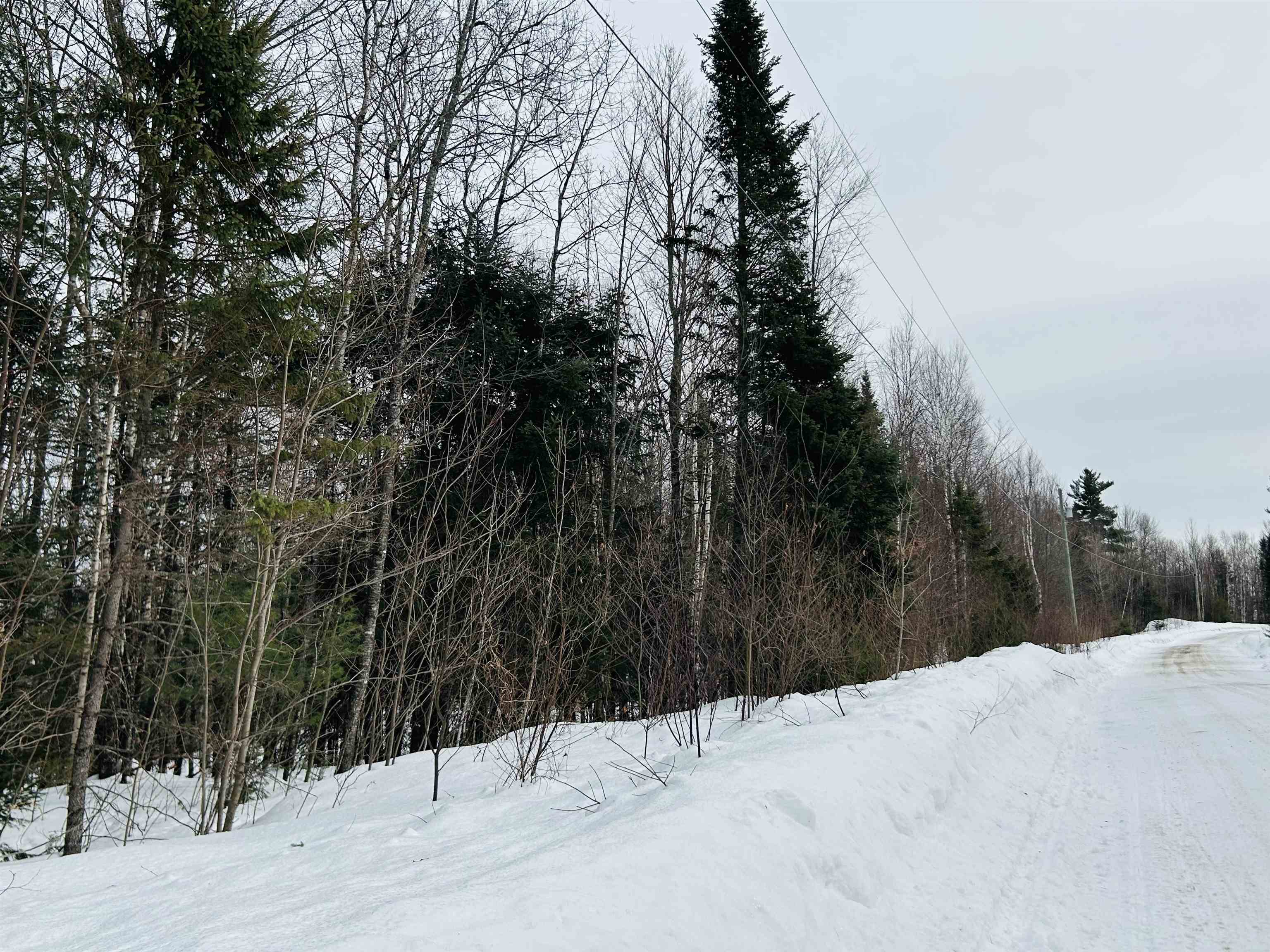 Lot 15 Holbrook Hill Road Stratford, NH 03590 - Photo 15 of 25