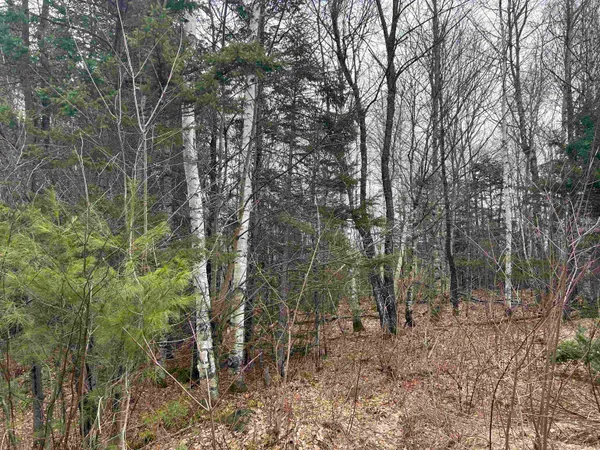 $64,500 | Lot 15 Holbrook Hill Road, Stratford, NH 03590