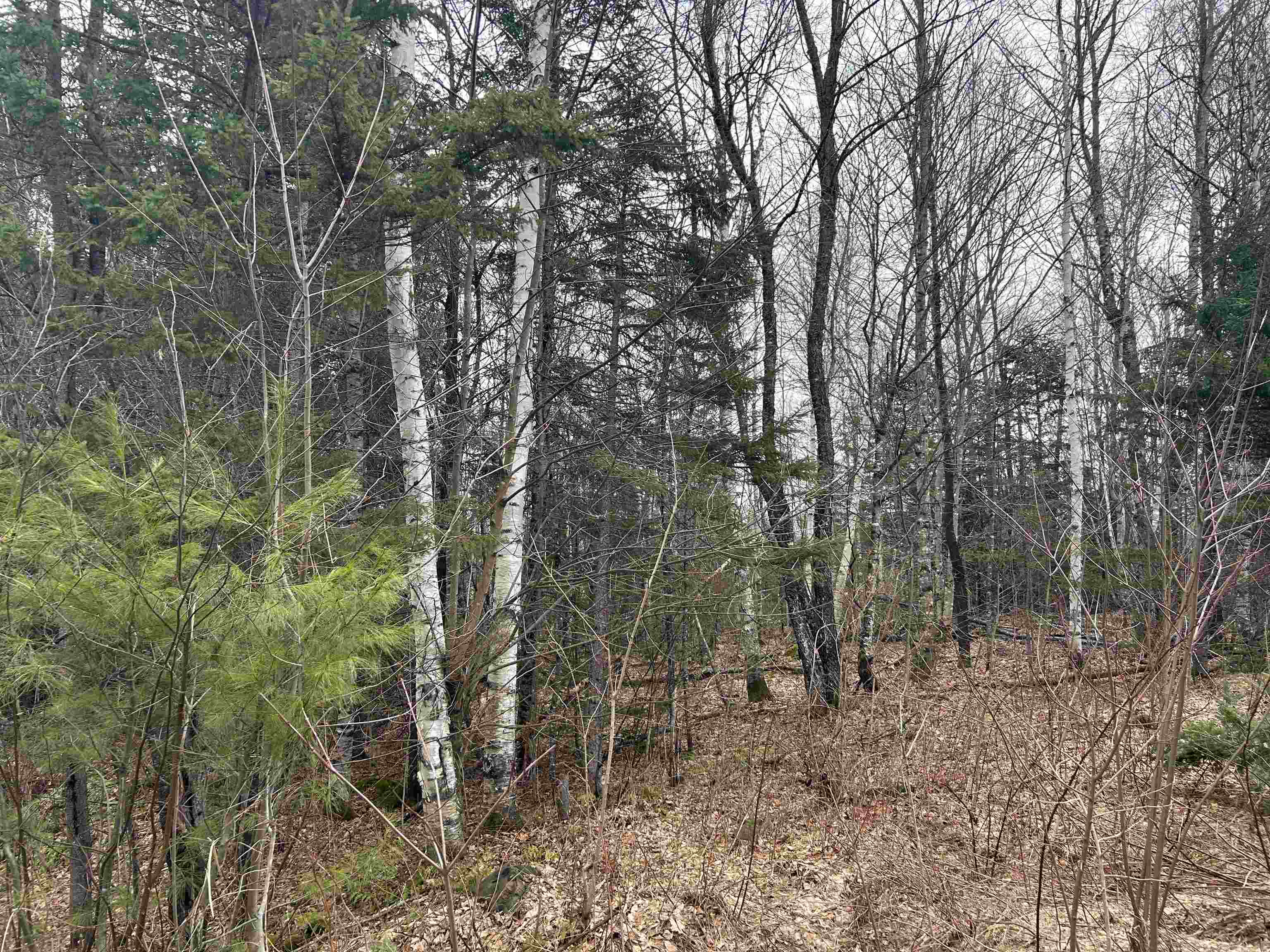 Lot 15 Holbrook Hill Road Stratford, NH 03590 - Photo 2 of 25