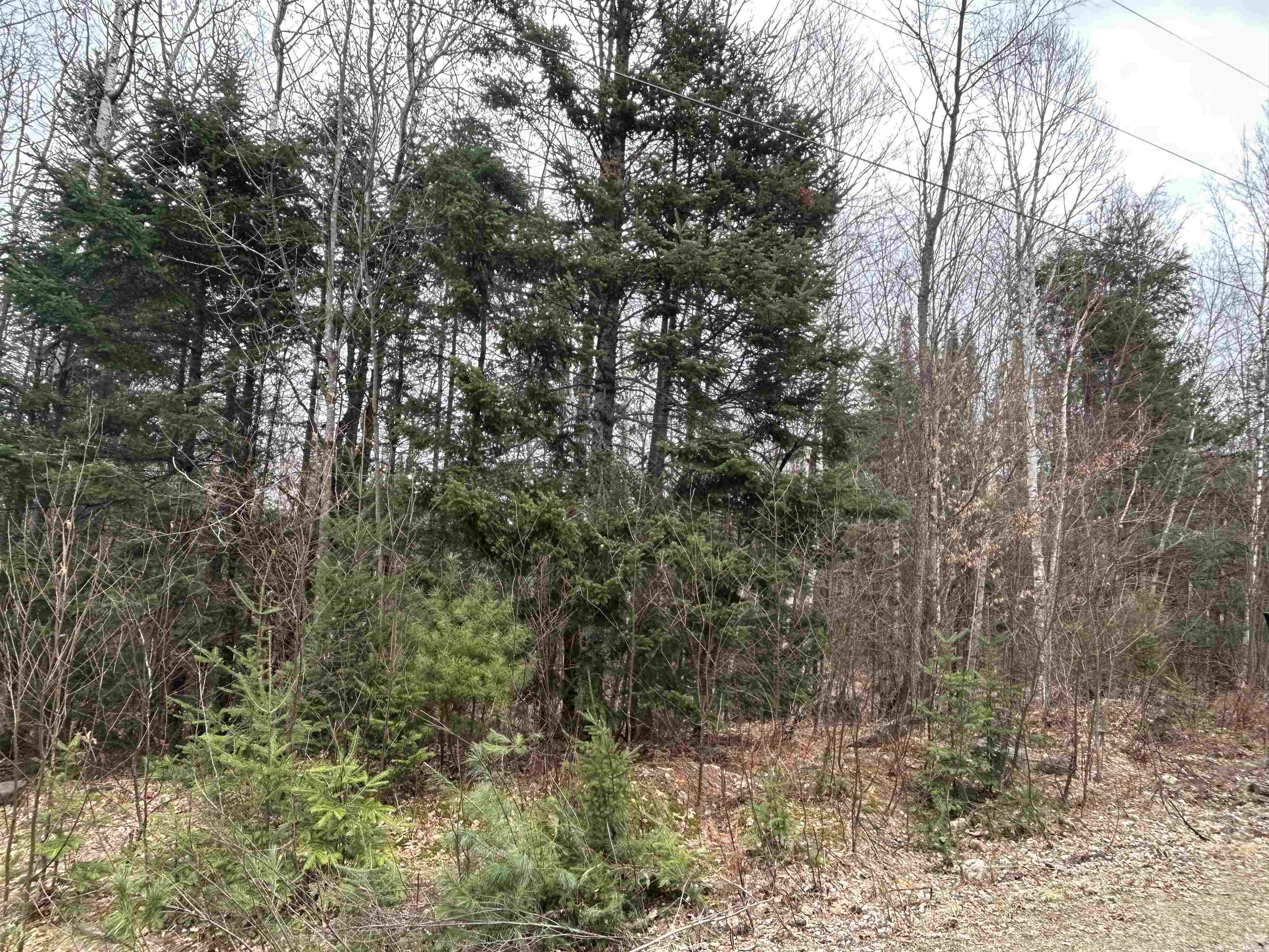 Lot 15 Holbrook Hill Road Stratford, NH 03590 - Photo 3 of 25