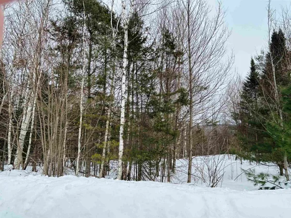 $64,500 | Lot 15 Holbrook Hill Road, Stratford, NH 03590