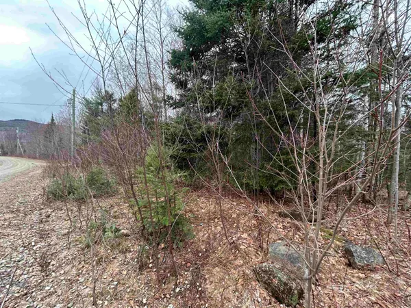 $64,500 | Lot 15 Holbrook Hill Road, Stratford, NH 03590