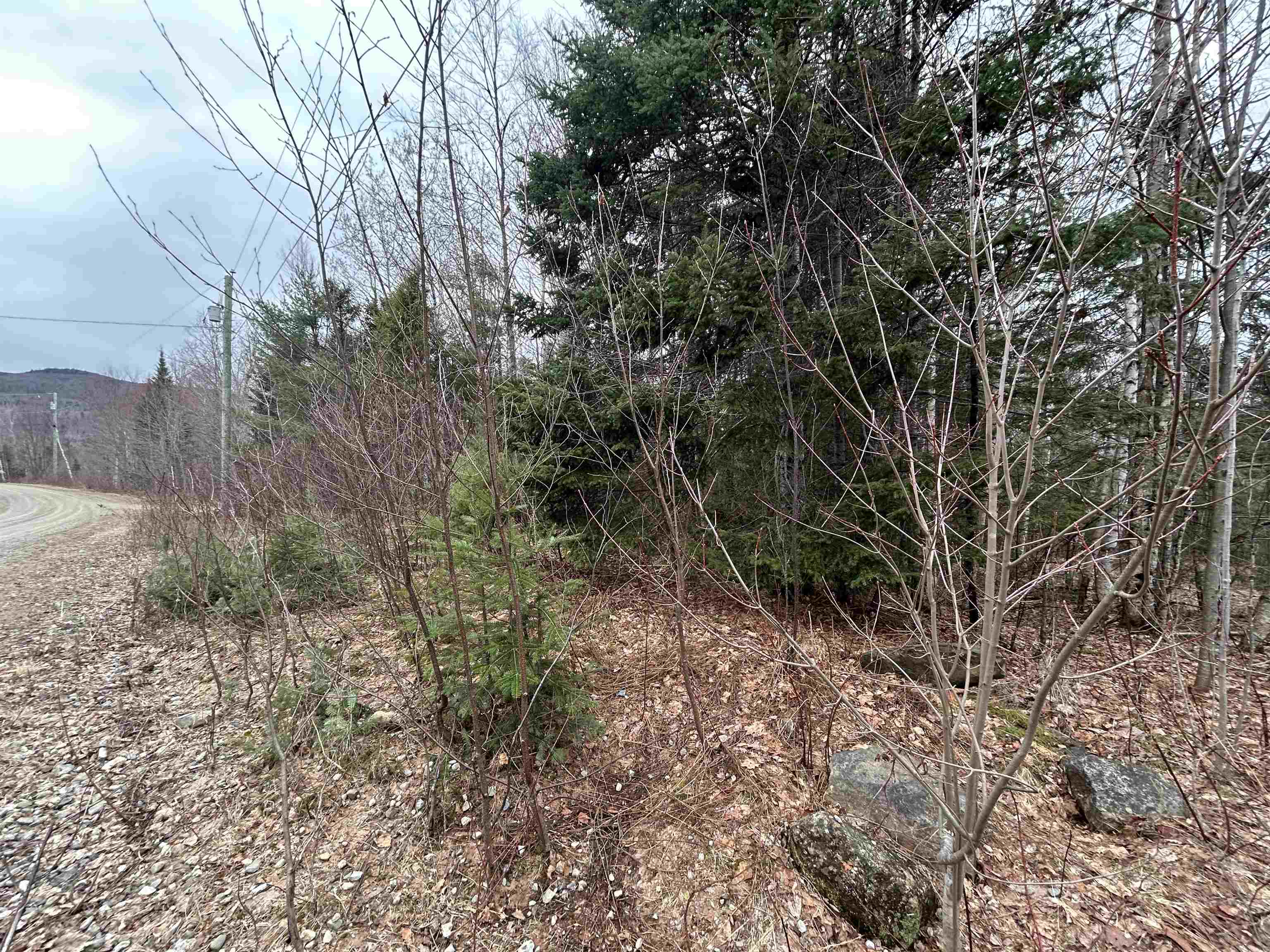 Lot 15 Holbrook Hill Road Stratford, NH 03590 - Photo 4 of 25