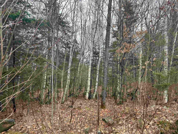 $64,500 | Lot 15 Holbrook Hill Road, Stratford, NH 03590