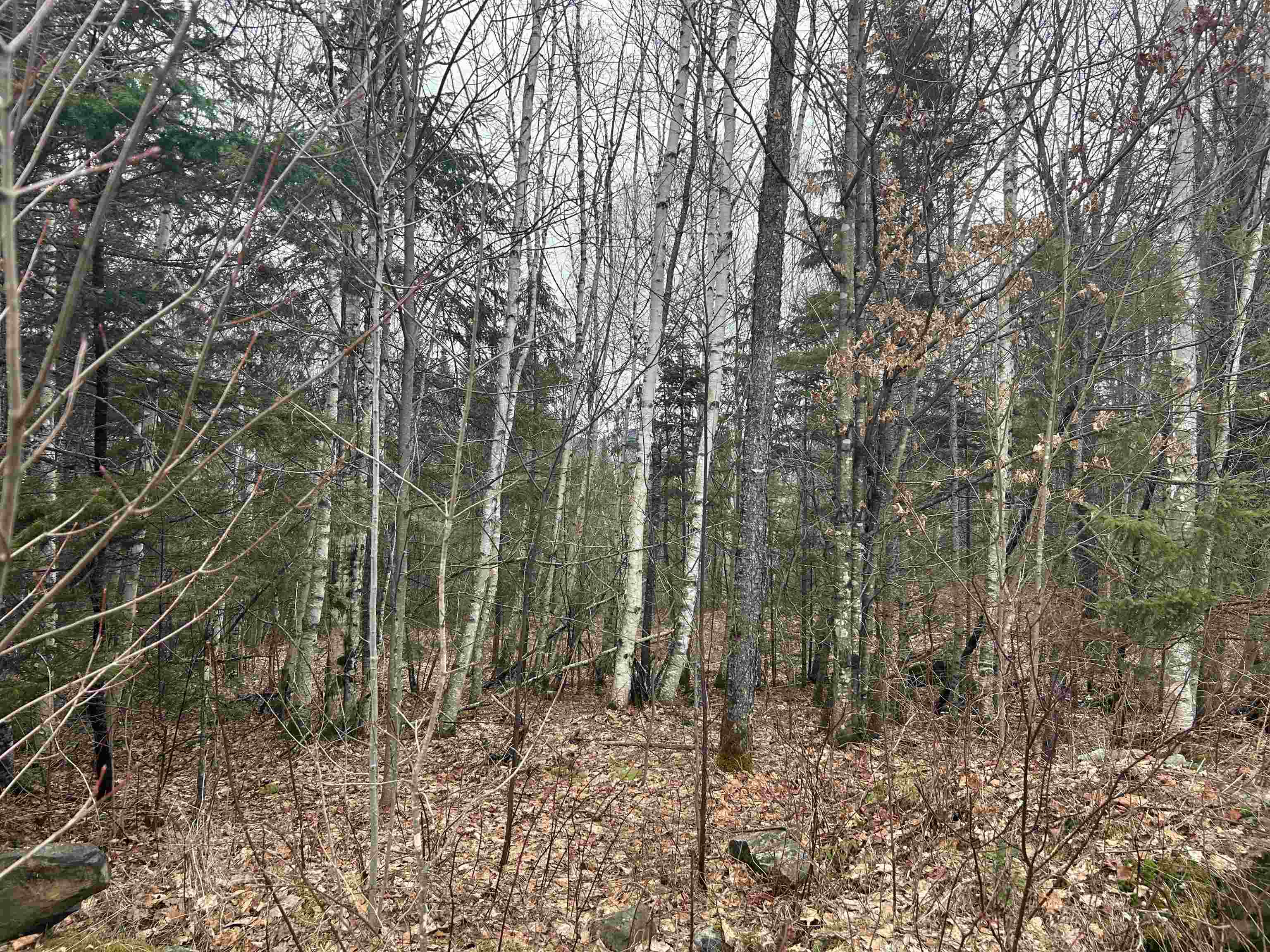 Lot 15 Holbrook Hill Road Stratford, NH 03590 - Photo 5 of 25