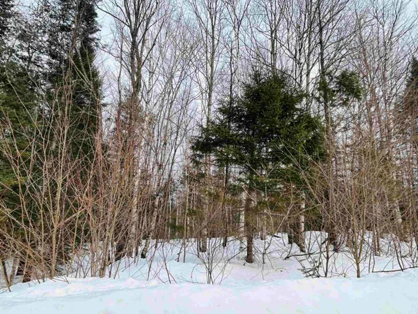 $64,500 | Lot 15 Holbrook Hill Road, Stratford, NH 03590