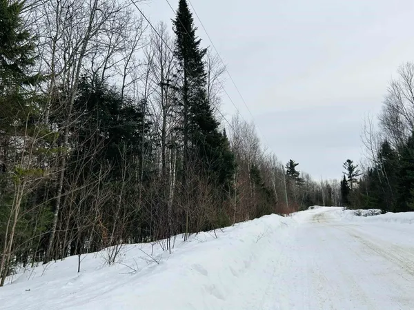 $64,500 | Lot 15 Holbrook Hill Road, Stratford, NH 03590