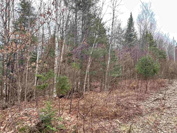 $64,500 | Lot 15 Holbrook Hill Road, Stratford, NH 03590