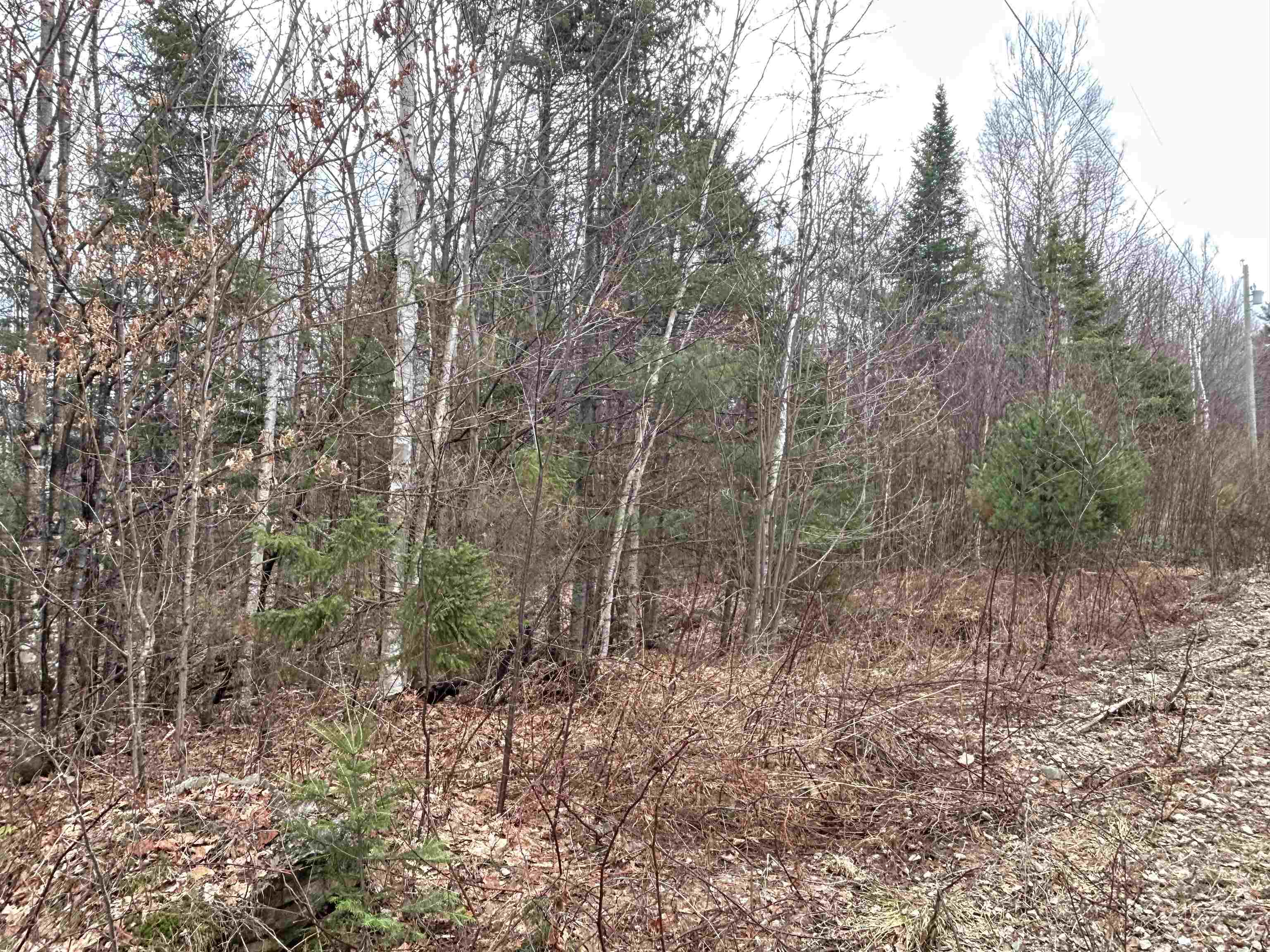 Lot 15 Holbrook Hill Road Stratford, NH 03590 - Photo 7 of 25