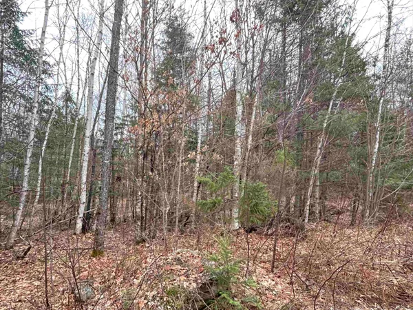 $64,500 | Lot 15 Holbrook Hill Road, Stratford, NH 03590