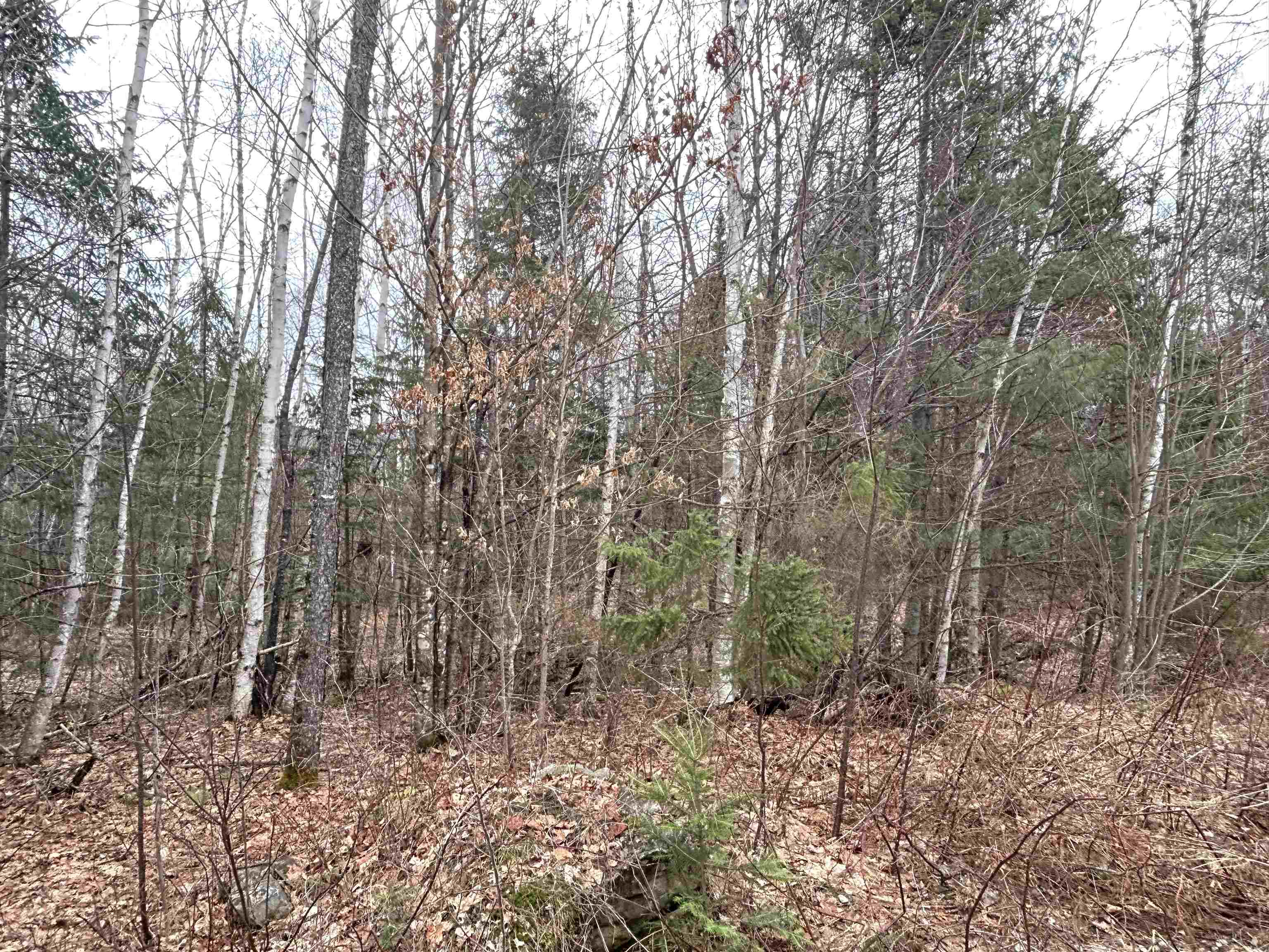 Lot 15 Holbrook Hill Road Stratford, NH 03590 - Photo 8 of 25