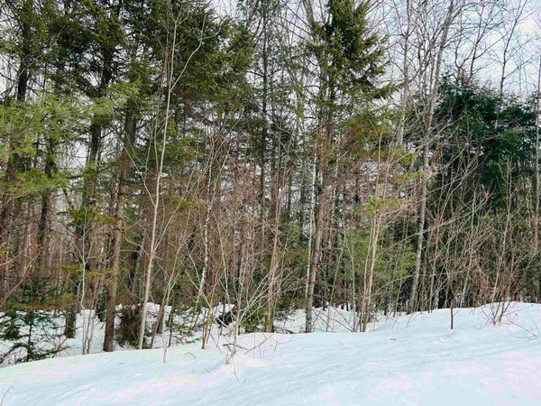 $64,500 | Lot 15 Holbrook Hill Road, Stratford, NH 03590