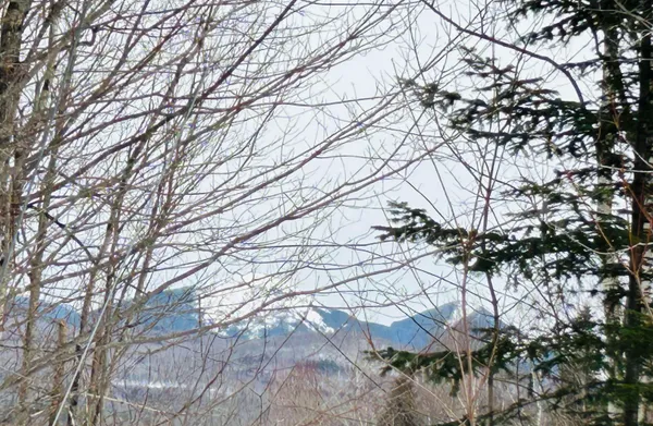 $64,500 | Lot 15 Holbrook Hill Road, Stratford, NH 03590