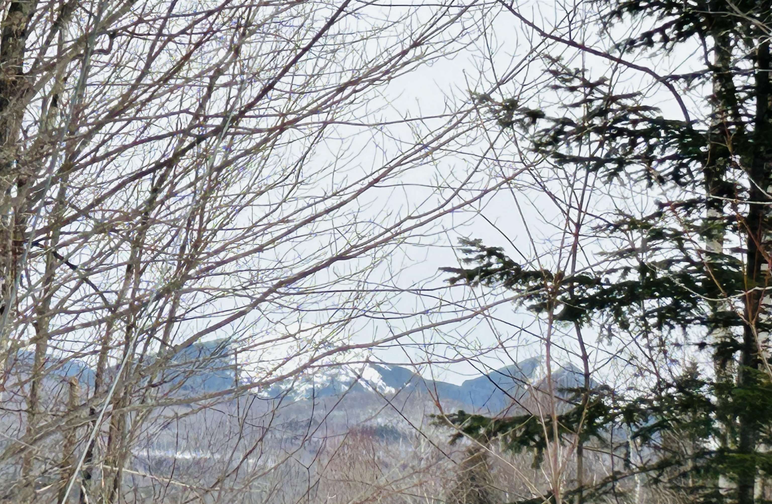 Lot 15 Holbrook Hill Road Stratford, NH 03590 - Photo 9 of 17