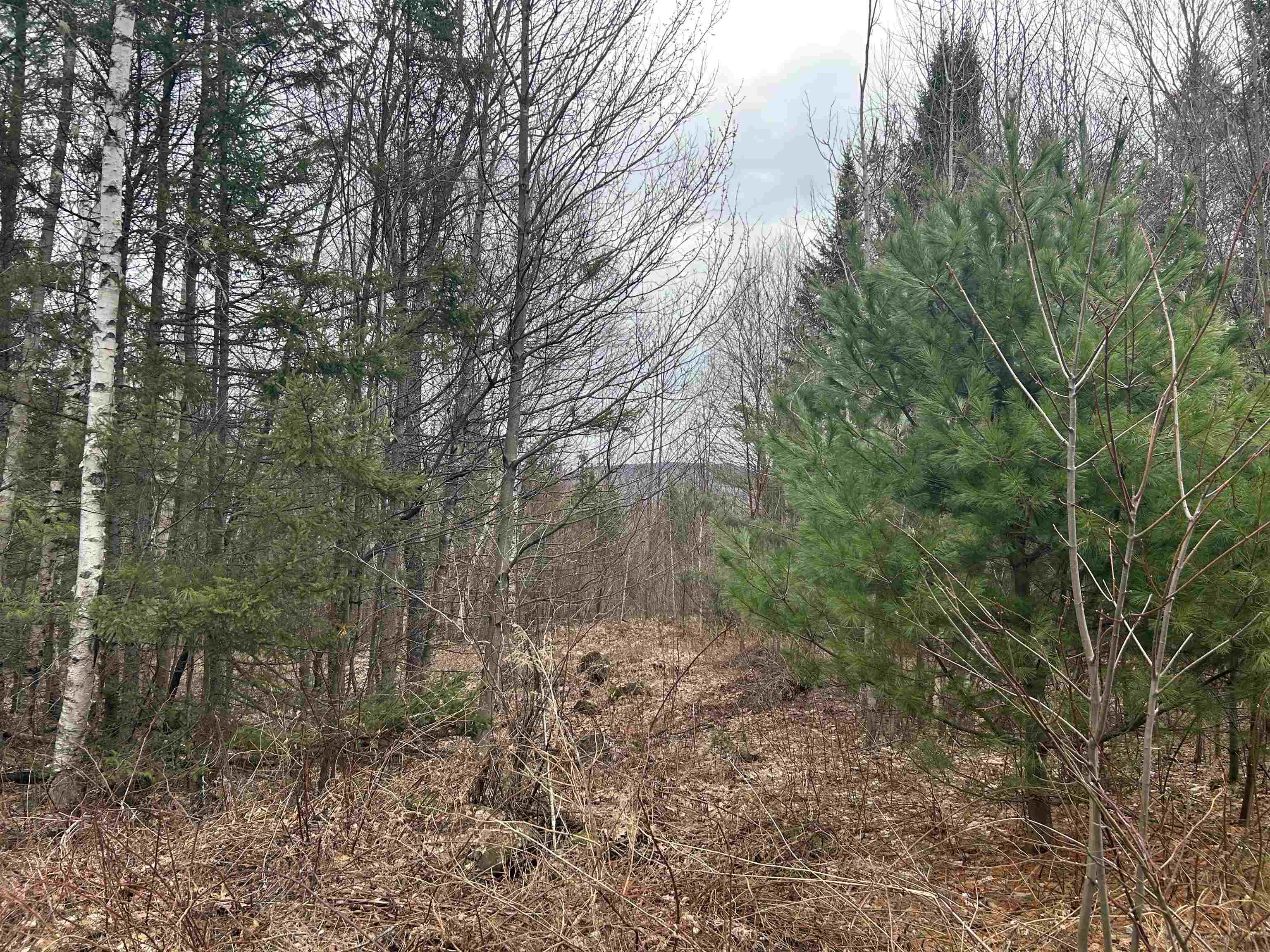 Lot 15 Holbrook Hill Road Stratford, NH 03590 - Photo 9 of 25