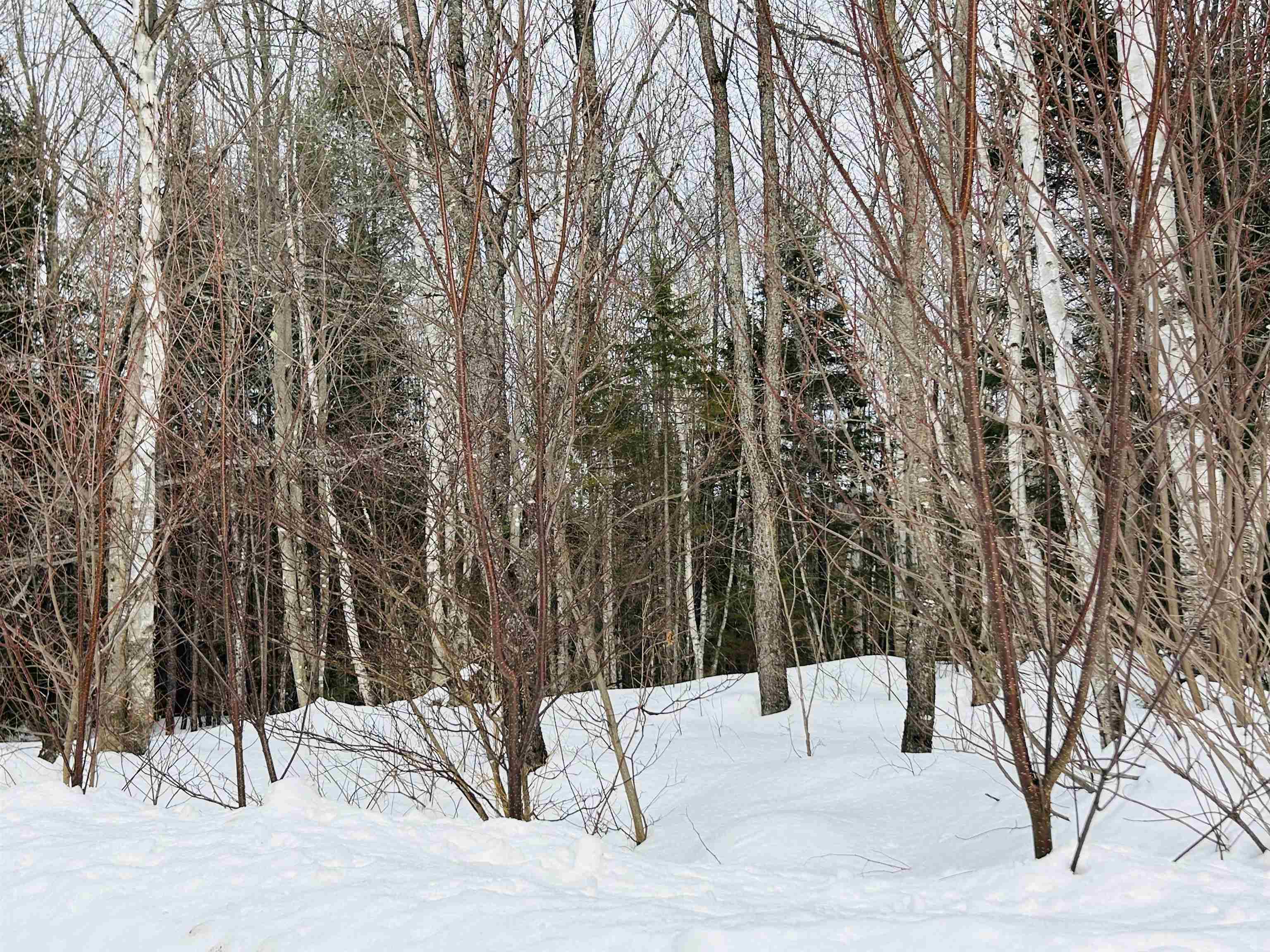 Lot 15 Holbrook Hill Road Stratford, NH 03590 - Photo 10 of 25