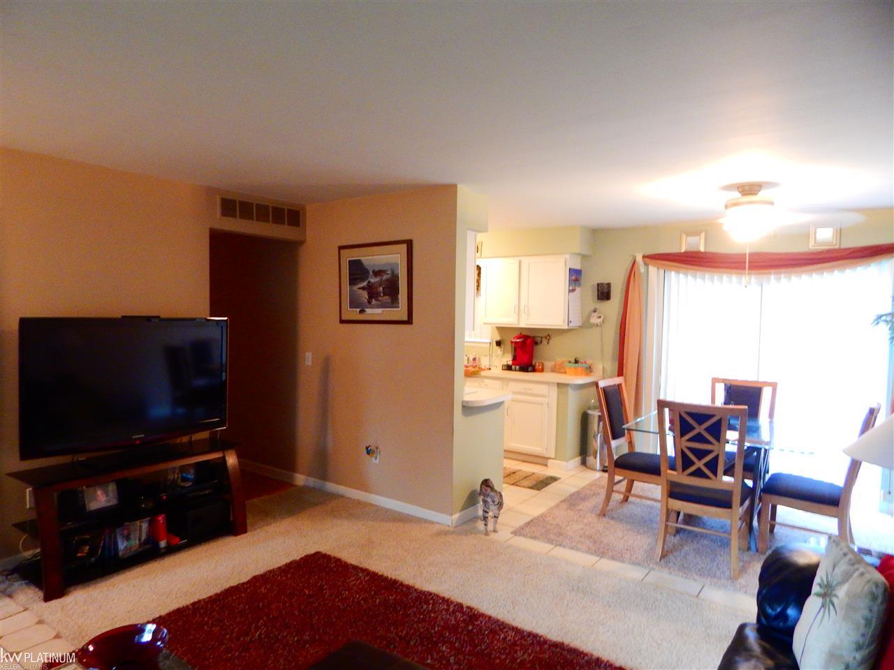 48732 East Ranch Drive Chesterfield, MI 48051 - Photo 11 of 24