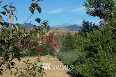 29 B Maughans River Road Winthrop, WA 98862 - Photo 1 of 1 Gallery Image 1