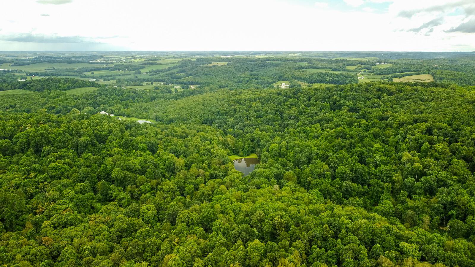 29739 Chestnut Ridge Road Danville, OH 43014 - Photo 52 of 57 29739 Chestnut Ridge-43