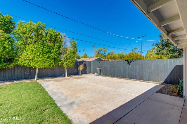 a view of a backyard