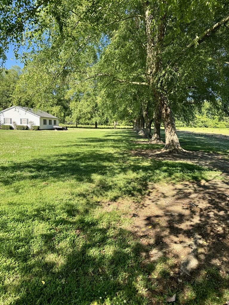 7303 Bayside Road Franktown, VA 23354 - Photo 73 of 85