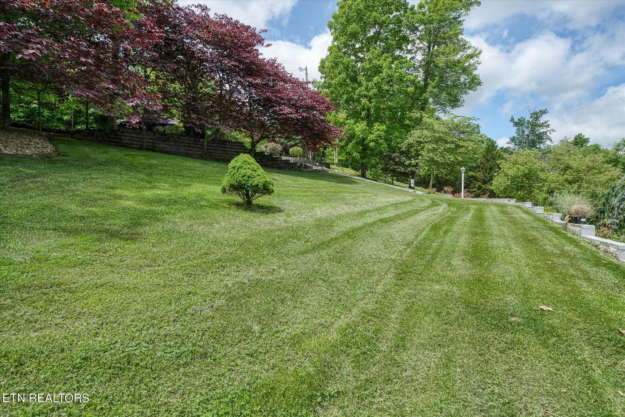 145 Pineridge Loop Crossville, TN 38558 - Photo 48 of 60