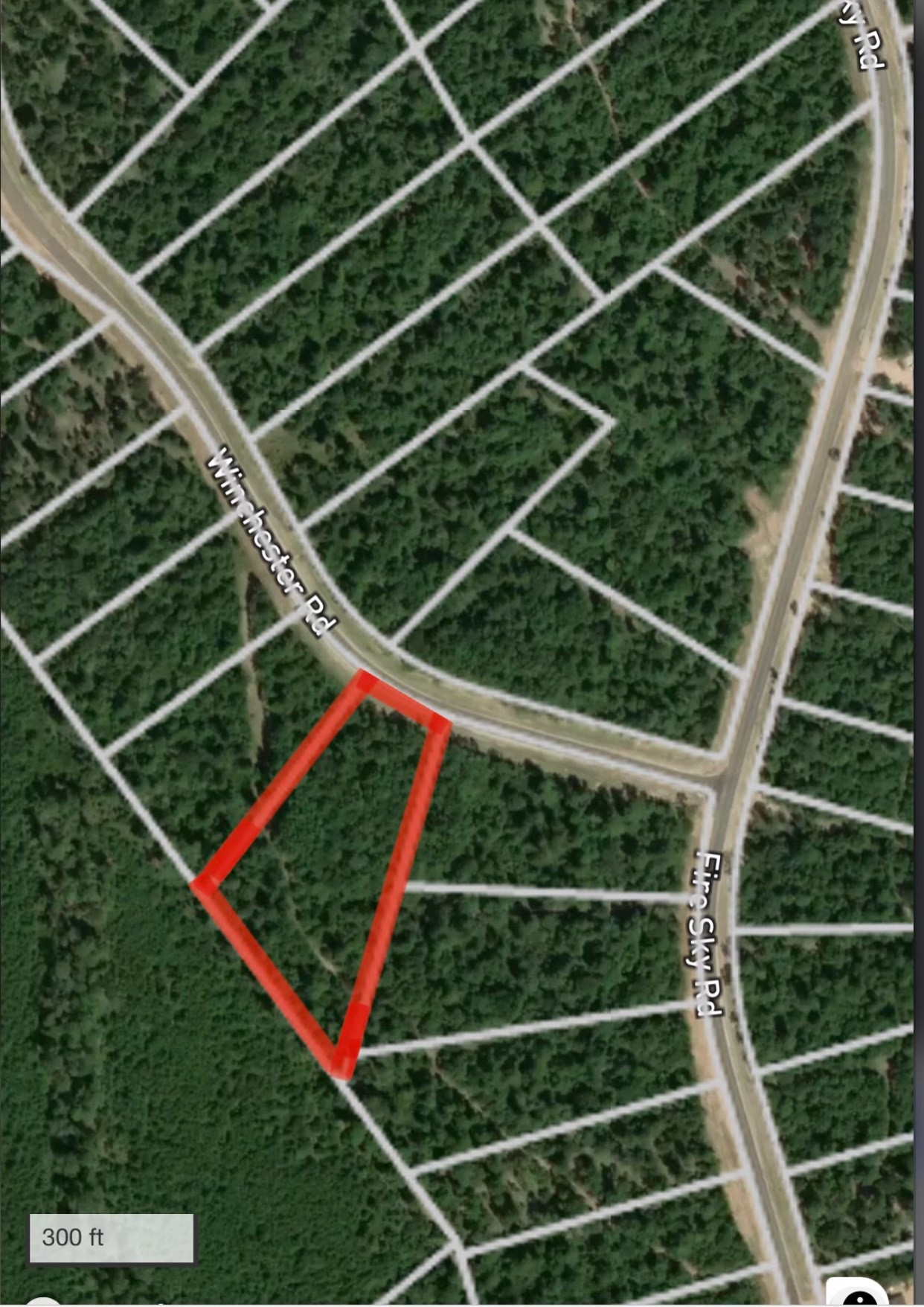 3-b-1-76 Winchester Road Huntsville, TX 77340 - Photo 3 of 4