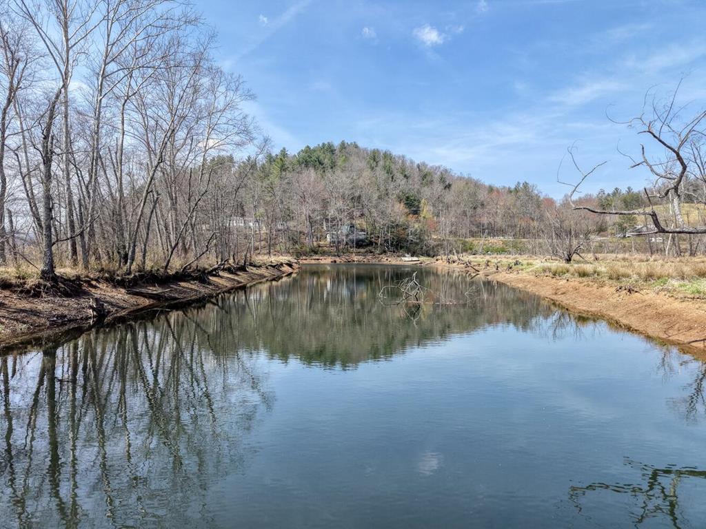 2561 Dune Road Hiawassee, GA 30546 - Photo 16 of 71