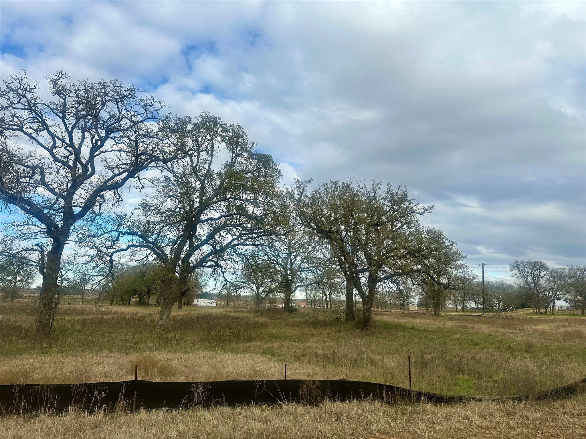 1067 Ferguson Loop Dale Dale, TX 78616 - Photo 11 of 15 a view of a yard with an outdoor space