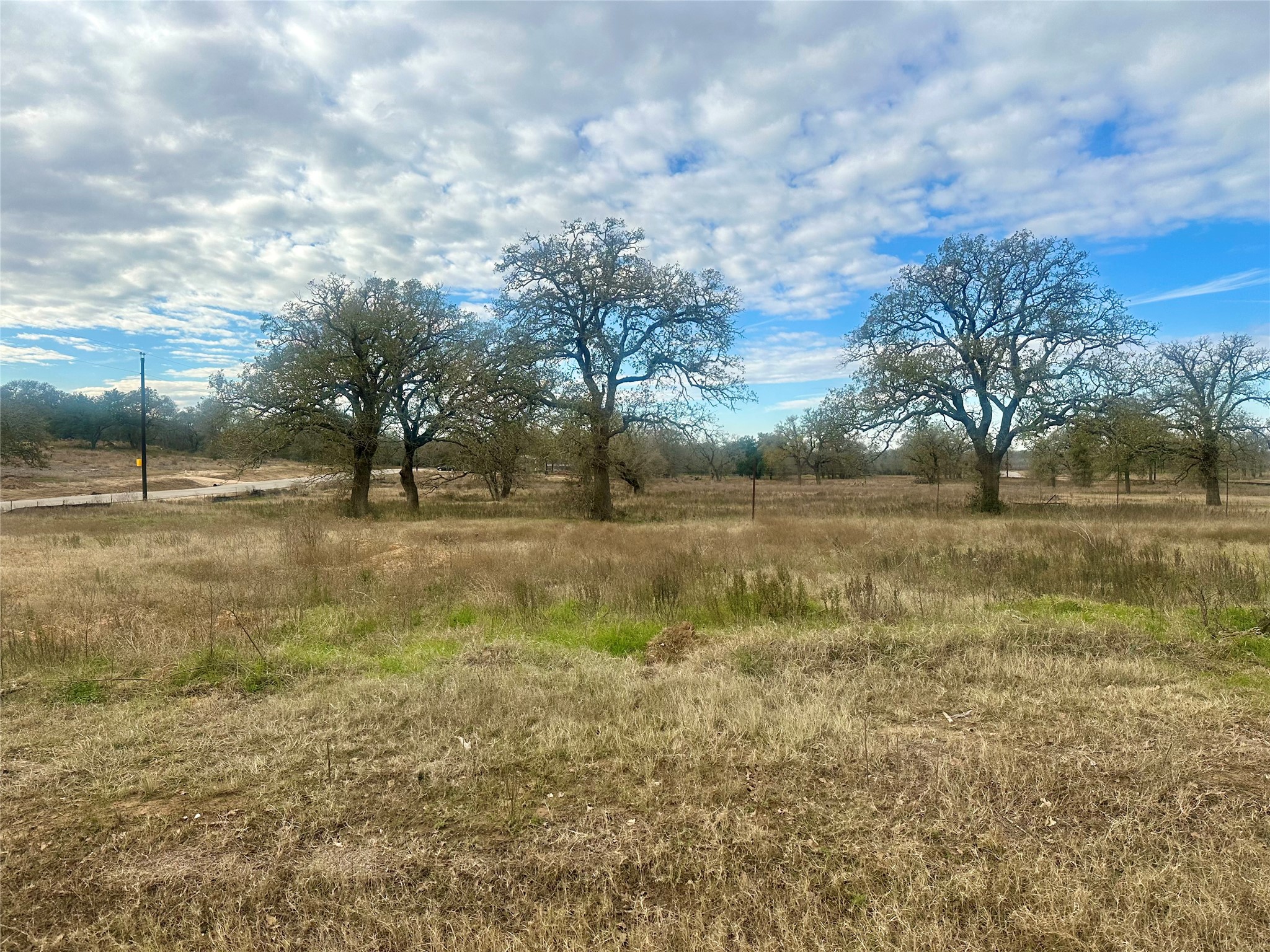 1067 Ferguson Loop Dale Dale, TX 78616 - Photo 13 of 15 a view of yard with green space