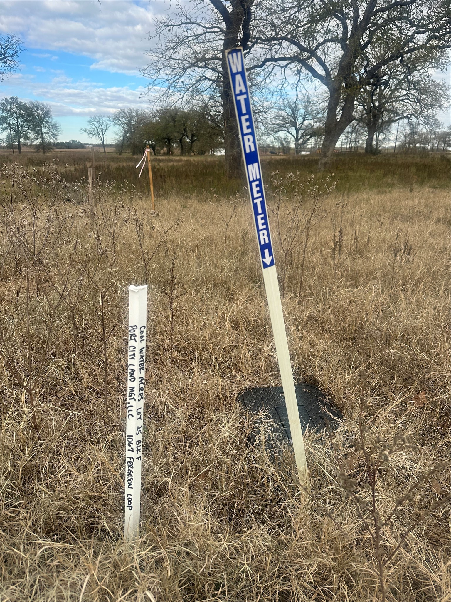 1067 Ferguson Loop Dale Dale, TX 78616 - Photo 14 of 15 a view of a lake view