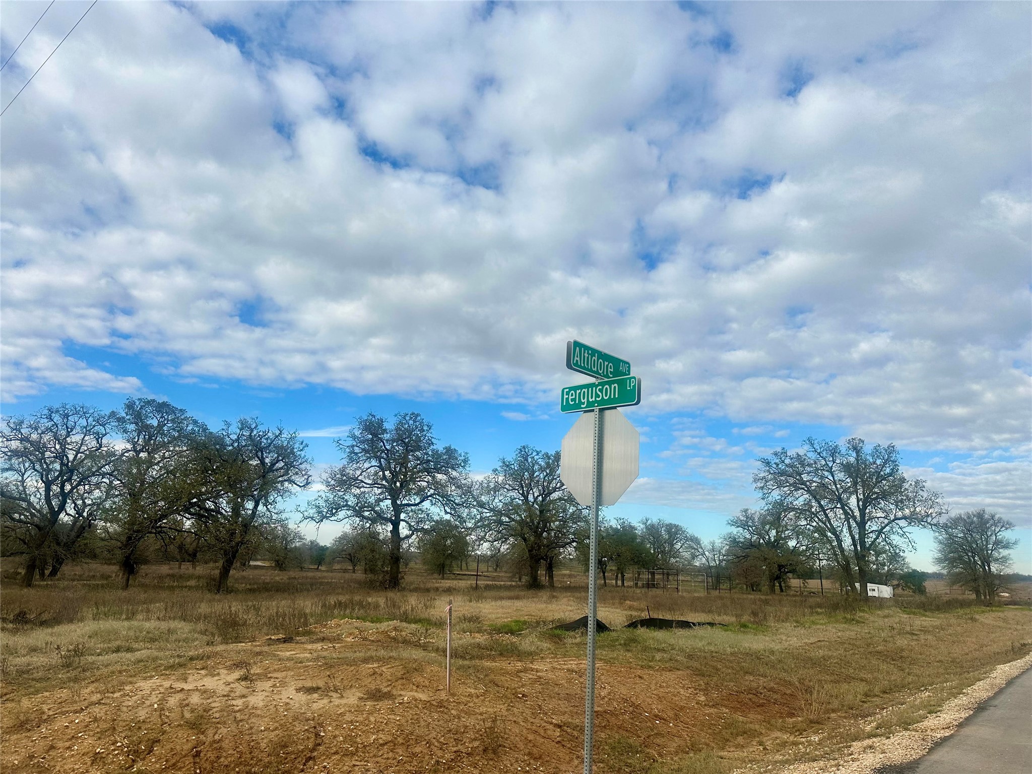 1067 Ferguson Loop Dale Dale, TX 78616 - Photo 15 of 15 a view of a fountain in front of a yard