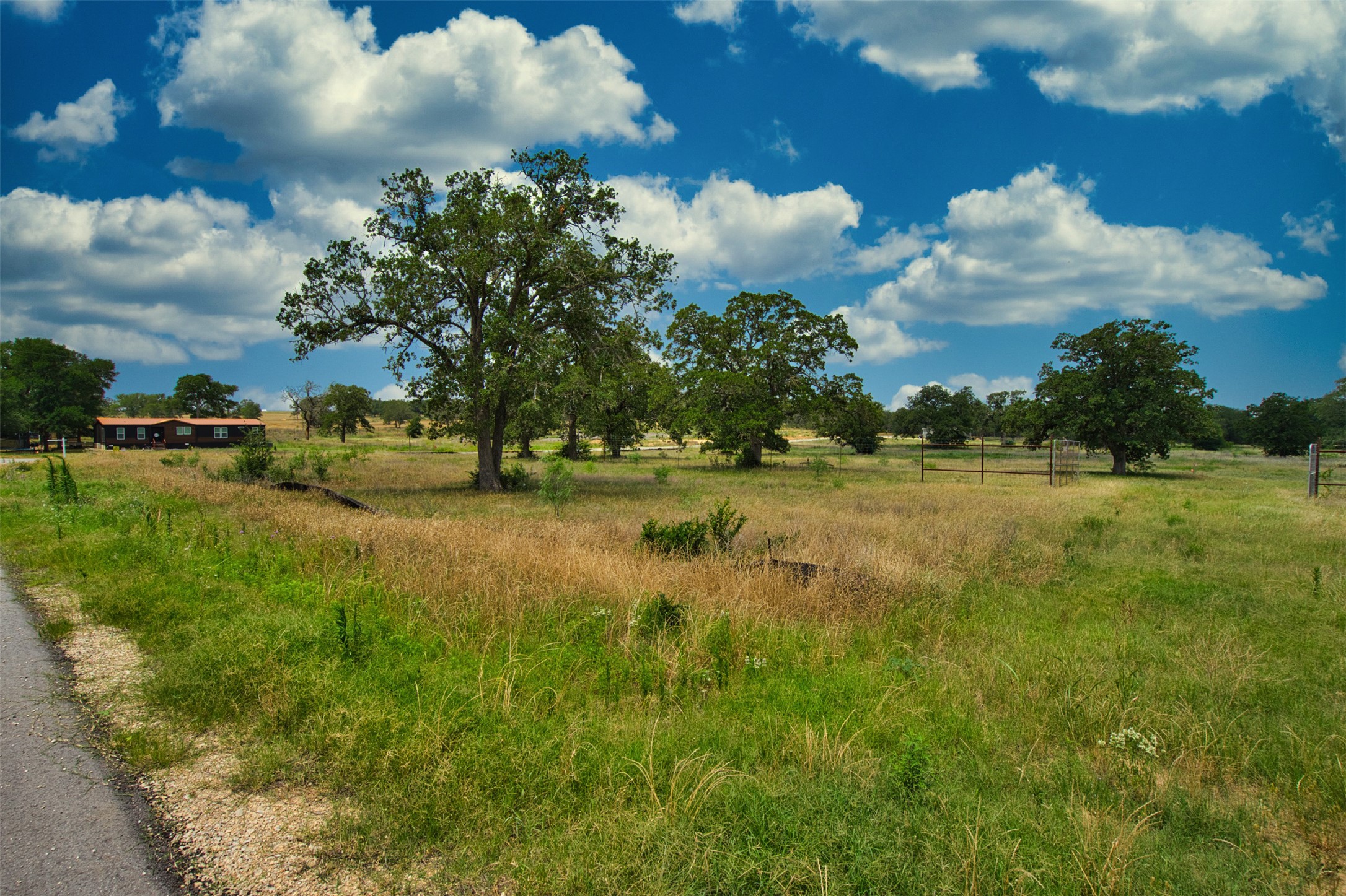 1067 Ferguson Loop Dale Dale, TX 78616 - Photo 5 of 15 a view of a garden